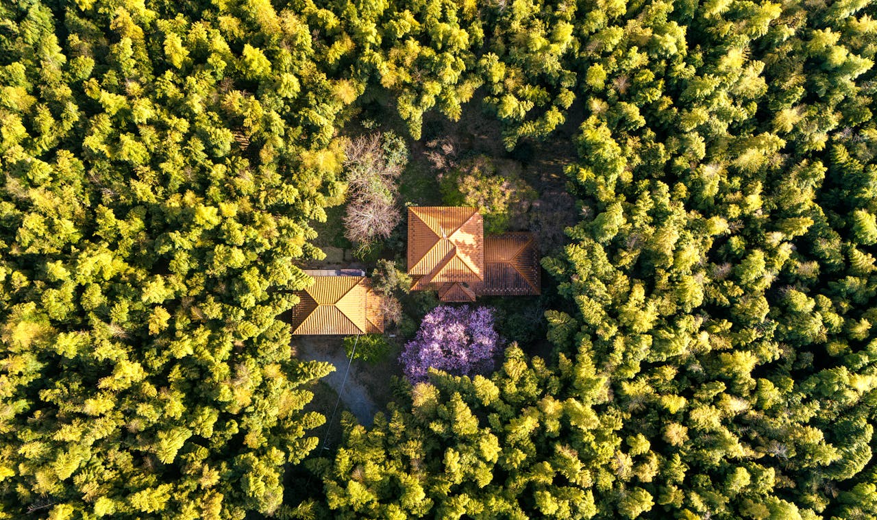 retreat and rehabilitation center for fullstack JavaScript developers
